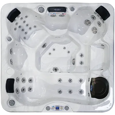 Avalon EC-849L hot tubs for sale in Hyde Park