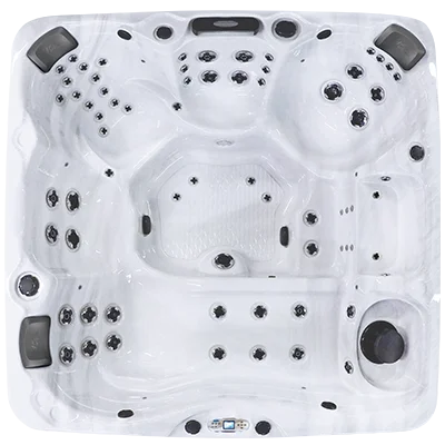 Avalon EC-867L hot tubs for sale in Hyde Park
